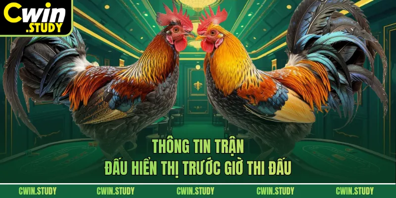 Thông tin trận đấu hiển thị trước giờ thi đấu